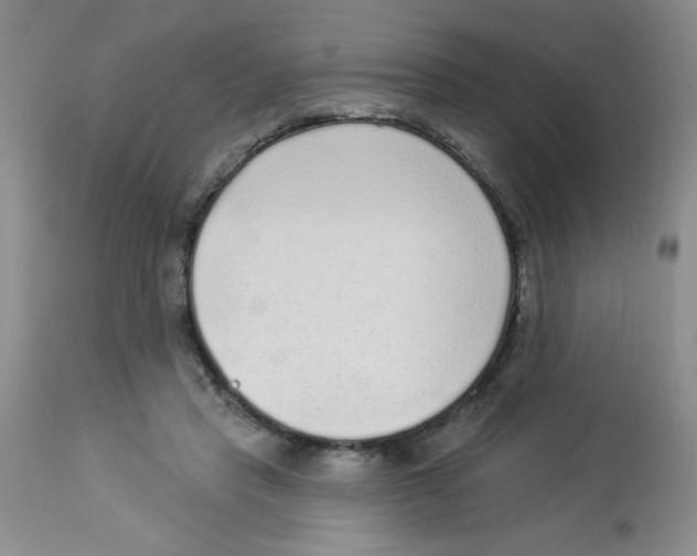 X0000113940453200910231947
