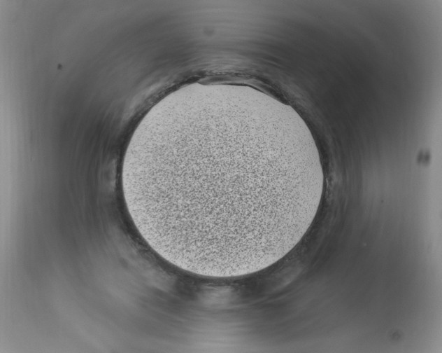 X0000113940454200910231947