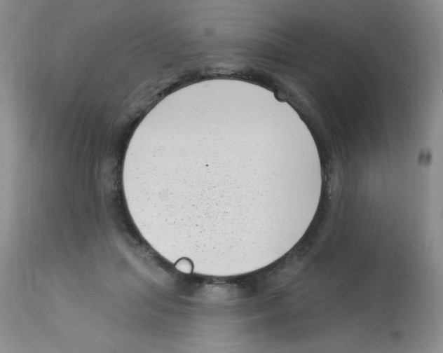 X0000113940455200910231947