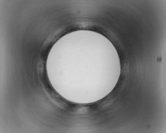 X0000113940456200910231947