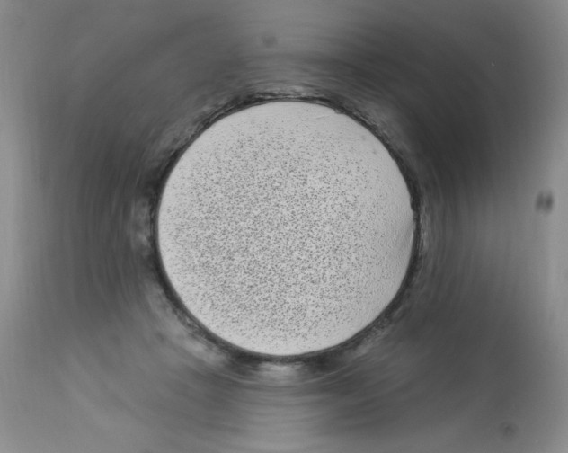 X0000113940457200910231947