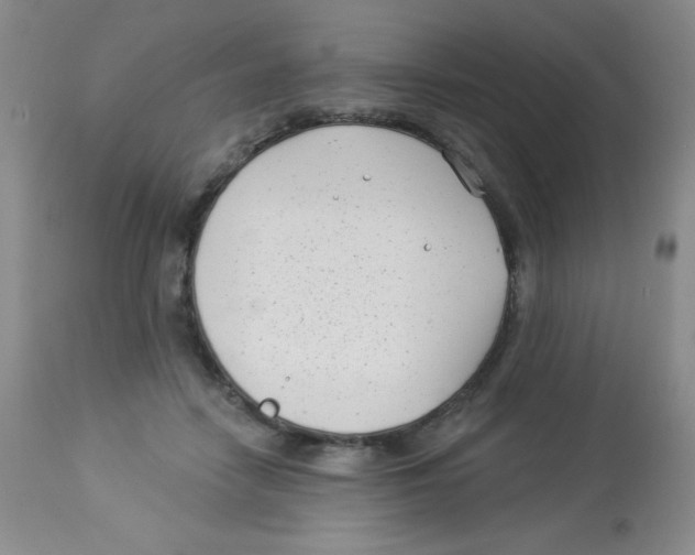 X0000113940458200910231947