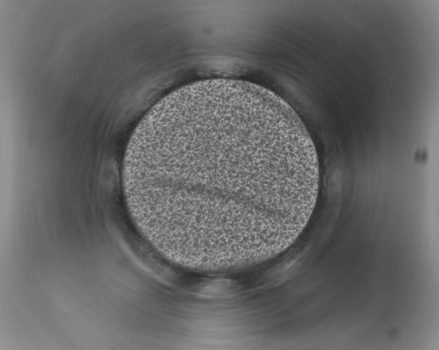 X0000113940459200910231947