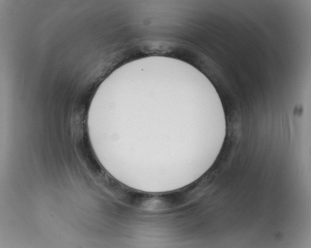 X0000113940460200910231947