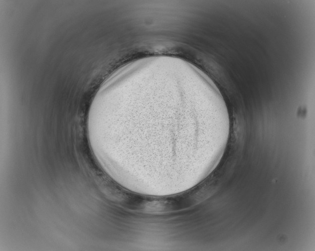 X0000113940461200910231947