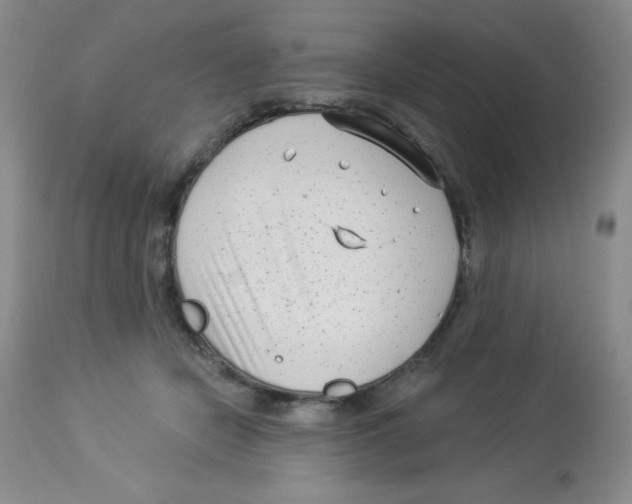 X0000113940462200910231947