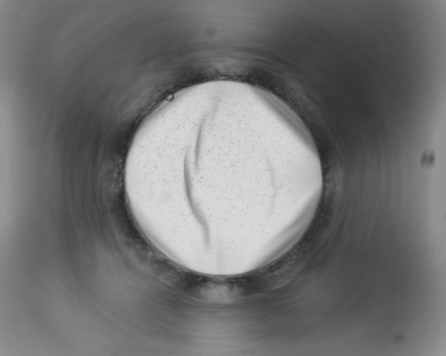 X0000113940464200910231947