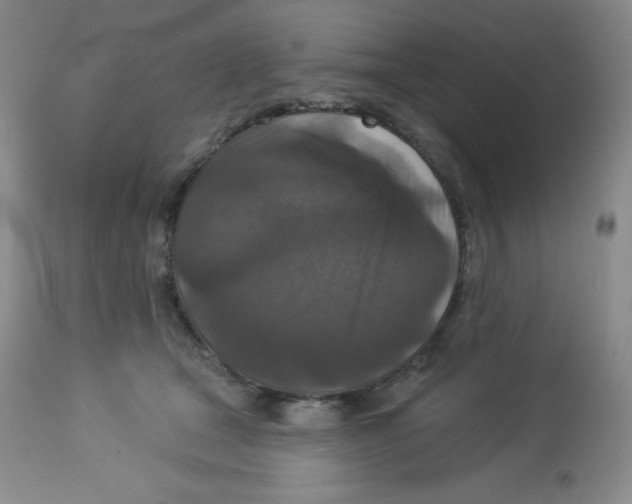X0000113940465200910231947