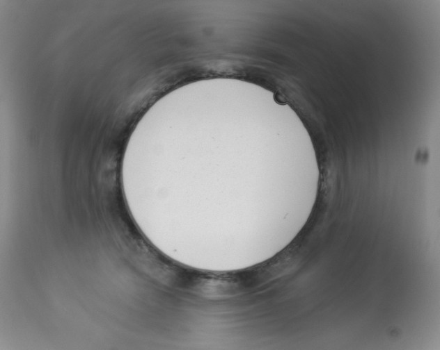 X0000113940466200910231947