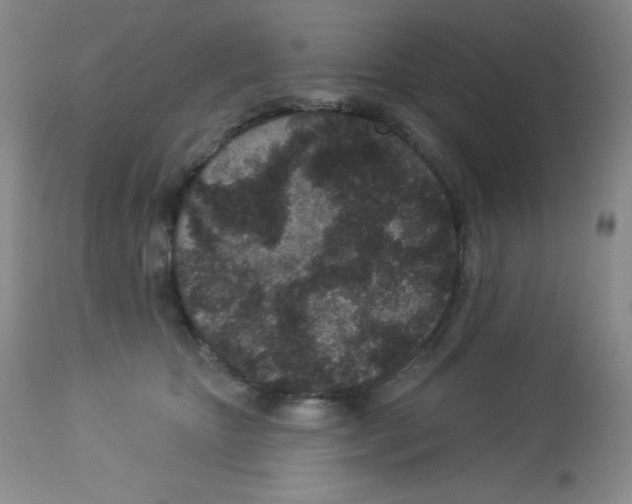 X0000113940467200910231947
