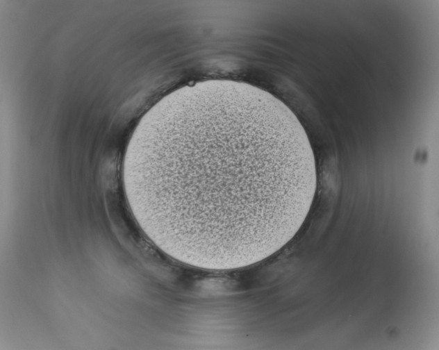 X0000113940468200910231947