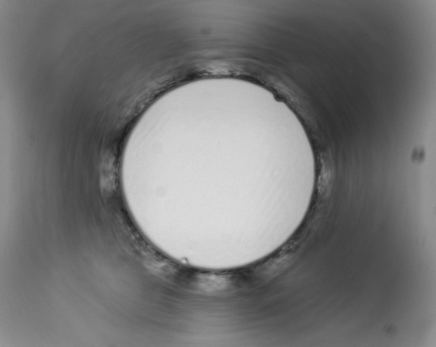 X0000113940469200910231947