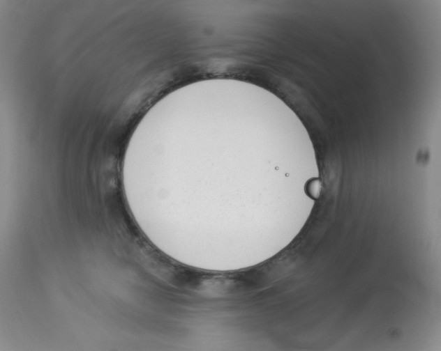 X0000113940470200910231948