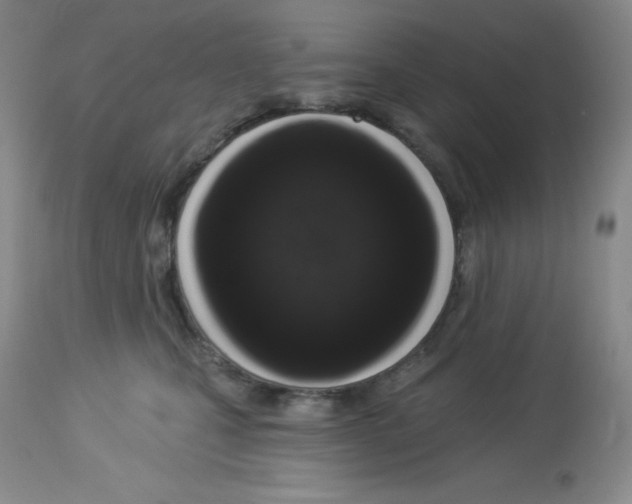 X0000113940471200910231948
