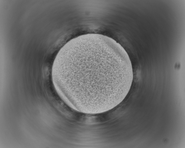 X0000113940472200910231948