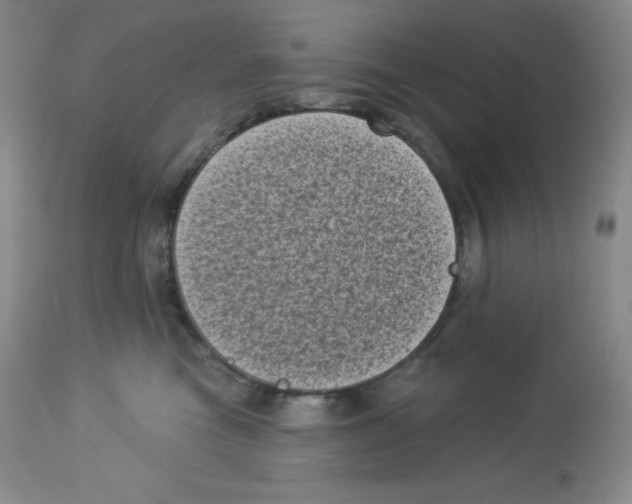 X0000113940473200910231948