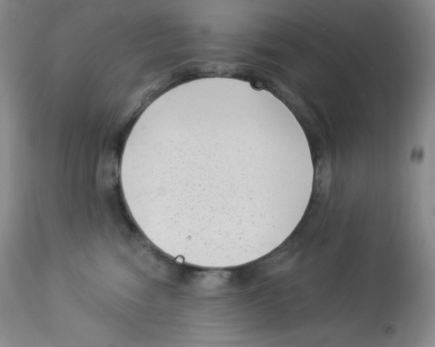X0000113940474200910231948