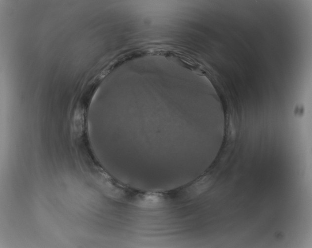 X0000113940475200910231948