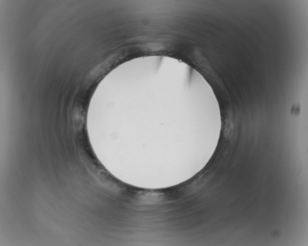 X0000113940476200910231948
