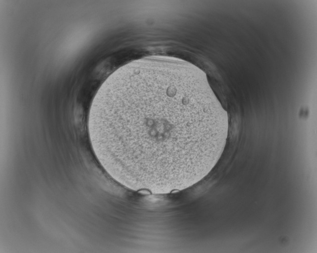 X0000113940477200910231948