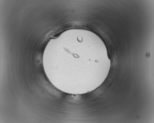 X0000113940478200910231948