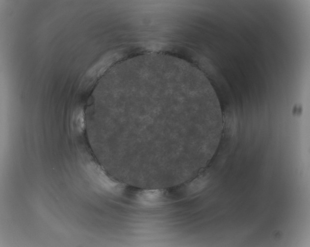 X0000113940479200910231948