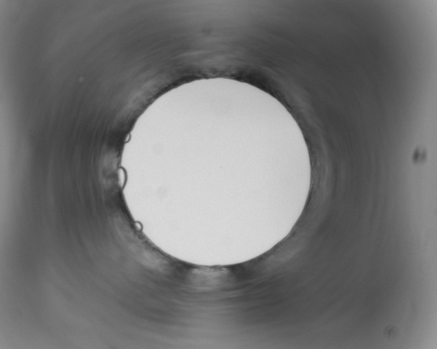 X0000113940480200910231948