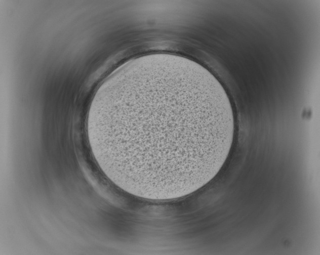 X0000113940482200910231947