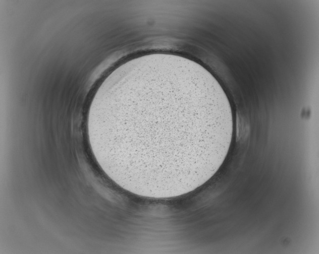 X0000113940483200910231947