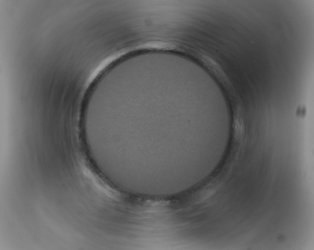 X0000113940484200910231947