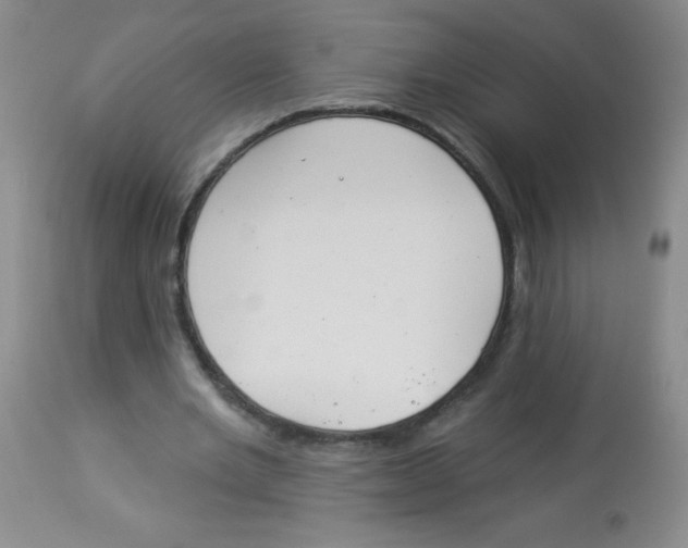 X0000113940485200910231947