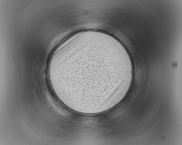 X0000113940486200910231947