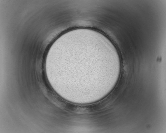 X0000113940487200910231947