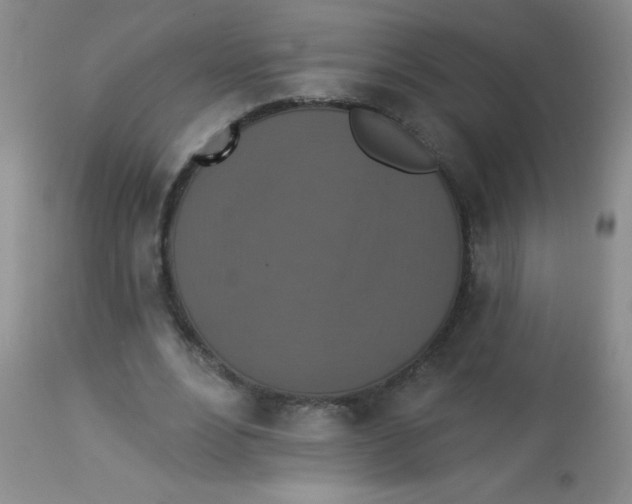 X0000113940488200910231947
