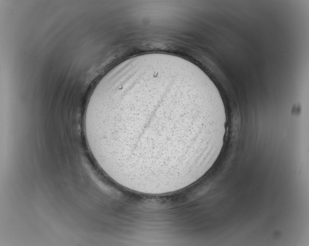 X0000113940489200910231947