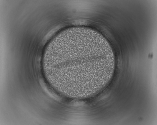 X0000113940491200910231947