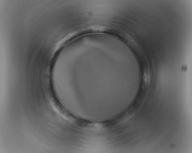 X0000113940492200910231947