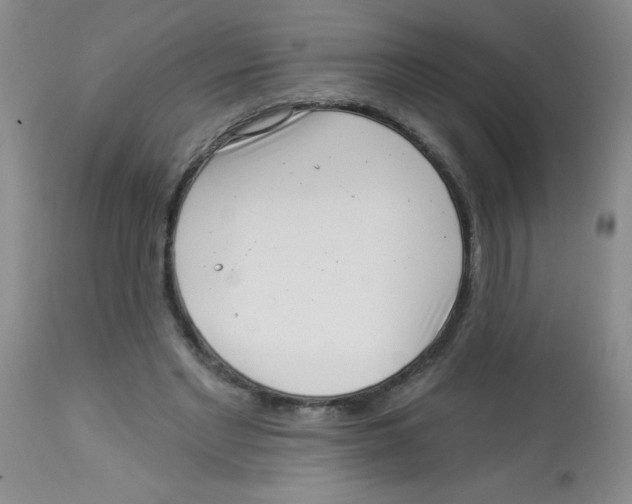 X0000113940493200910231947
