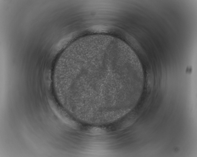 X0000113940494200910231947