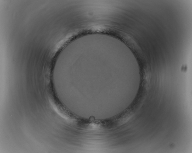X0000113940496200910231947