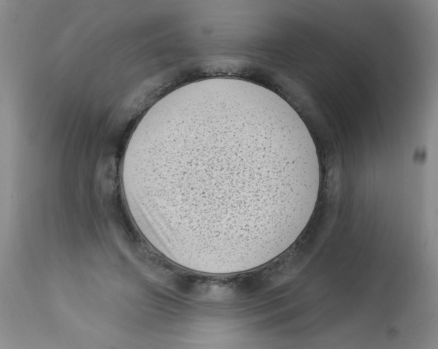 X0000113940498200910231947