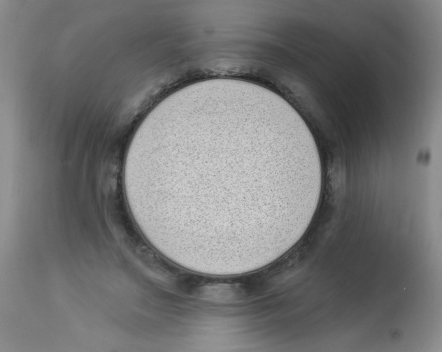 X0000113940499200910231947