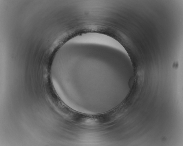 X0000113940500200910231947
