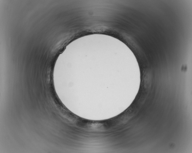 X0000113940501200910231947
