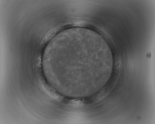 X0000113940502200910231947