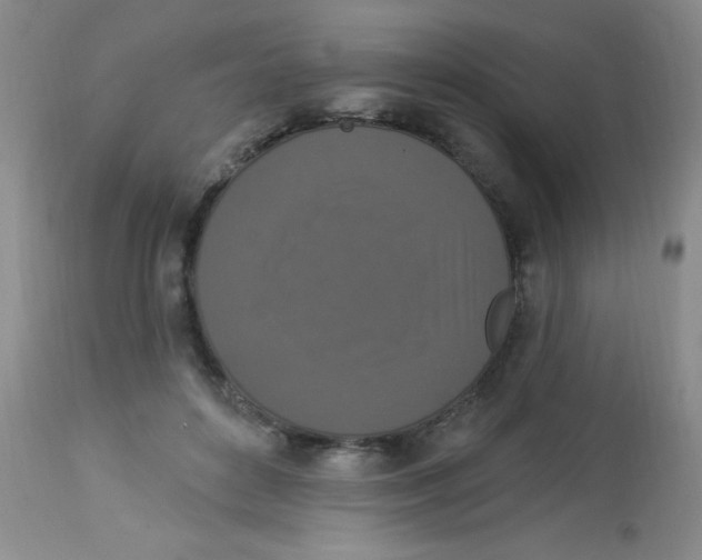 X0000113940504200910231947