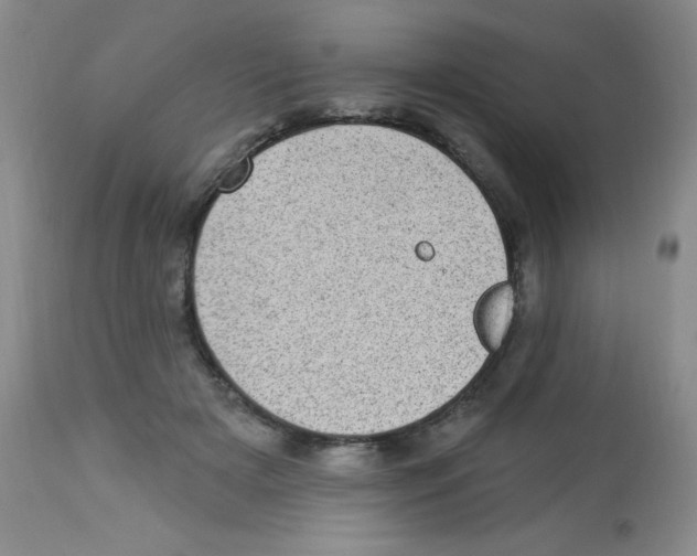 X0000113940505200910231947