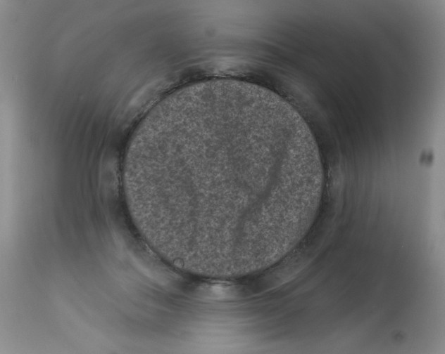 X0000113940506200910231947