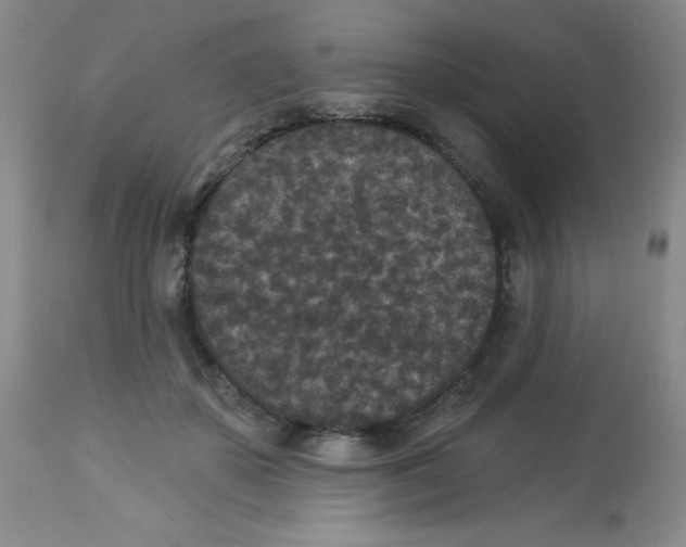 X0000113940507200910231947