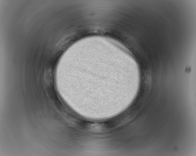 X0000113940511200910231946